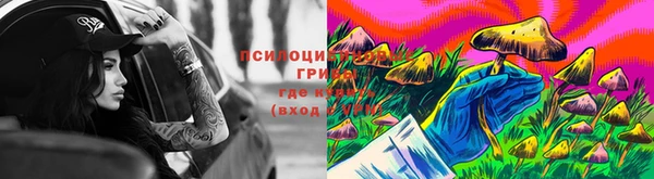 мескалин Козловка