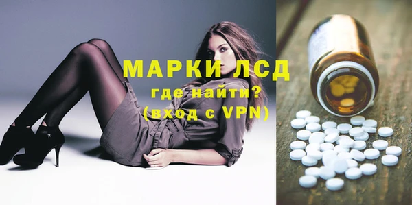 стаф Кодинск