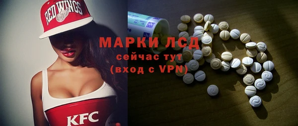 стаф Кодинск