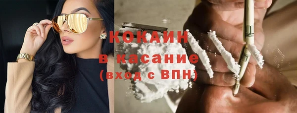стаф Кодинск