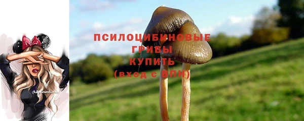 стаф Кодинск
