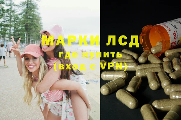 стаф Кодинск