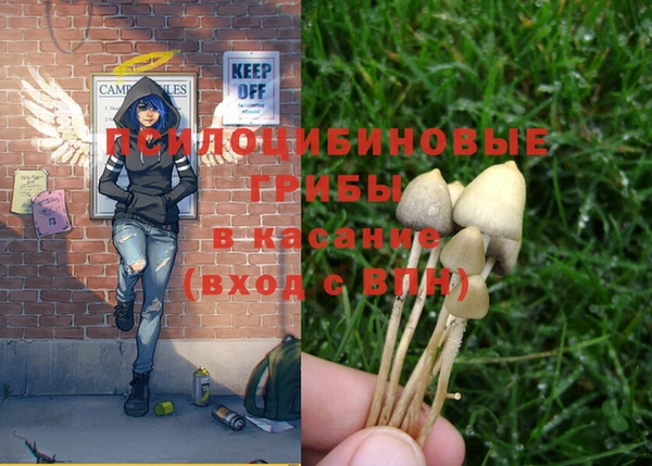 гашиш Козельск