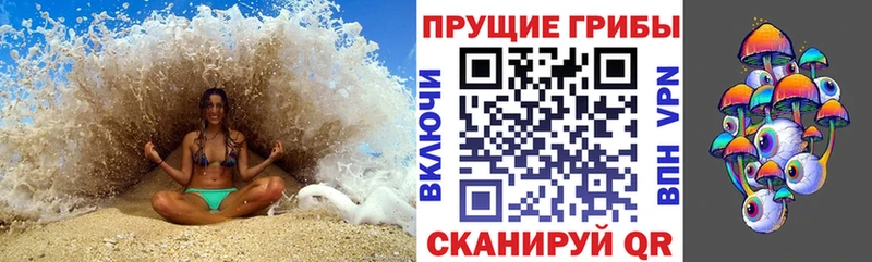 Псилоцибиновые грибы GOLDEN TEACHER  Купить где  Железногорск-Илимский 