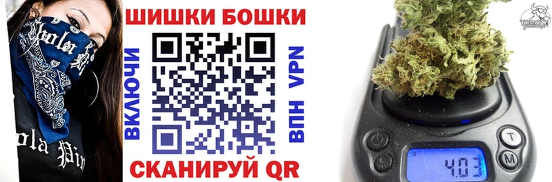 Купить закладки  Железногорск-Илимский  Шишки марихуана планчик 